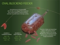 drennan-oval-blockend3..jpg