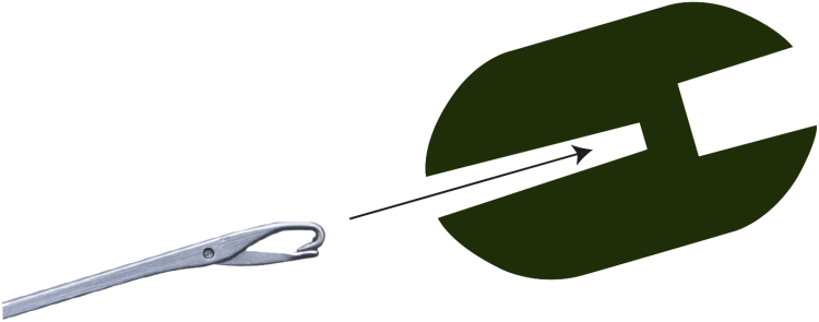 BAlance Beads USe.png