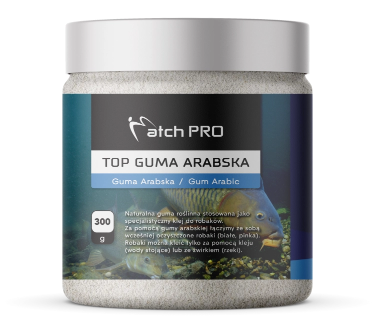 GUMA ARABSKA PROJEKT.png