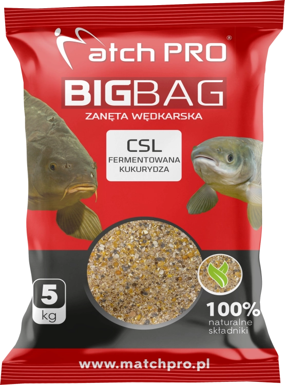 MOCKUP BIG BAG CSL 2023.png