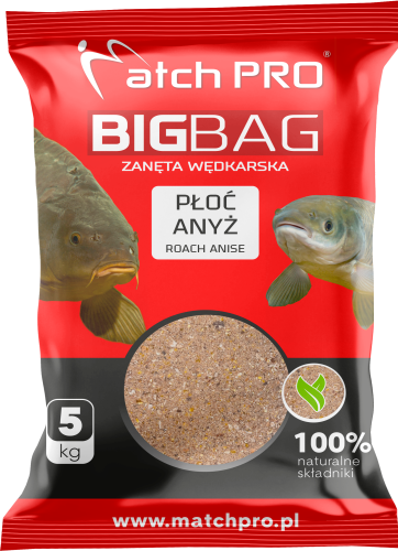 MOCKUP BIG BAG PŁOĆ ANYŻ 2024.png