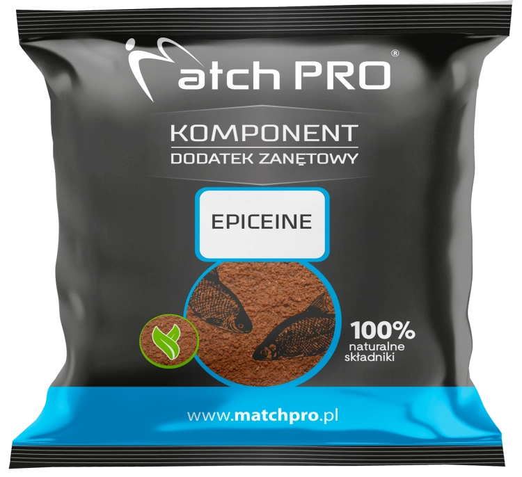 MOCKUP 2024 EPICEINE.png