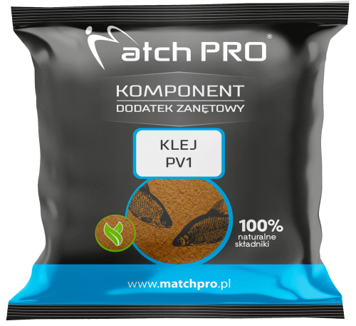MOCKUP PV1 2024.png