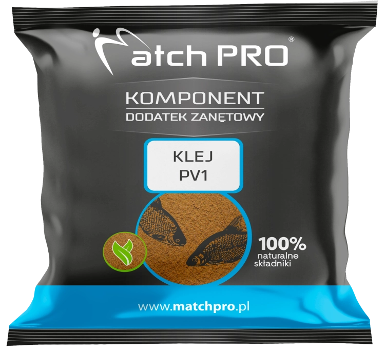 MOCKUP PV1 2024.png