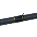 RMAC01_4.jpg