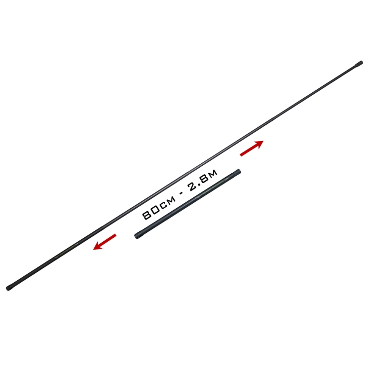 rsab02_3.jpg
