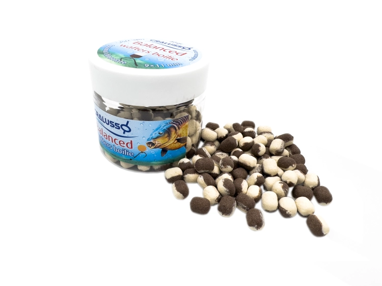 2757_balanced coconut_choco 9x11mm.png