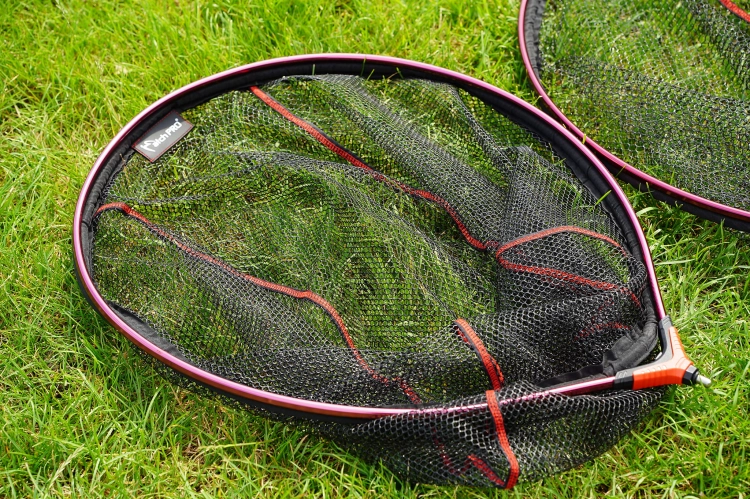DSC00077_web.jpg