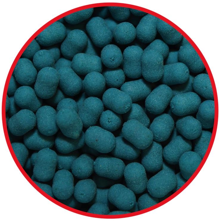 OKIENKO DUMBELLS BUBBLEGUM.jpg