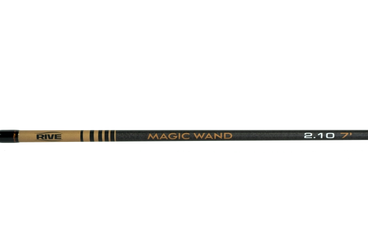 A7405555.png