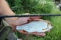 ACOLYTE Ultra 14ft / 4,20m Wędka Drennan Kod: RMACUL140