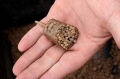 Koszyk do Pelletu Drennan PELLET FEEDER