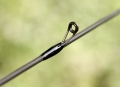 acolyte15ft-9.jpg