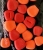 Kukurydza BIG BUOYANT SWEETCORN RED/ORANGE ESP ETBSCOR004
