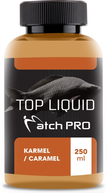 MOCKUP CARMEL.jpg