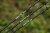 acolyte-plus-12ft-feeder-detail-1.jpg