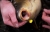 big mouth2366_web.jpg
