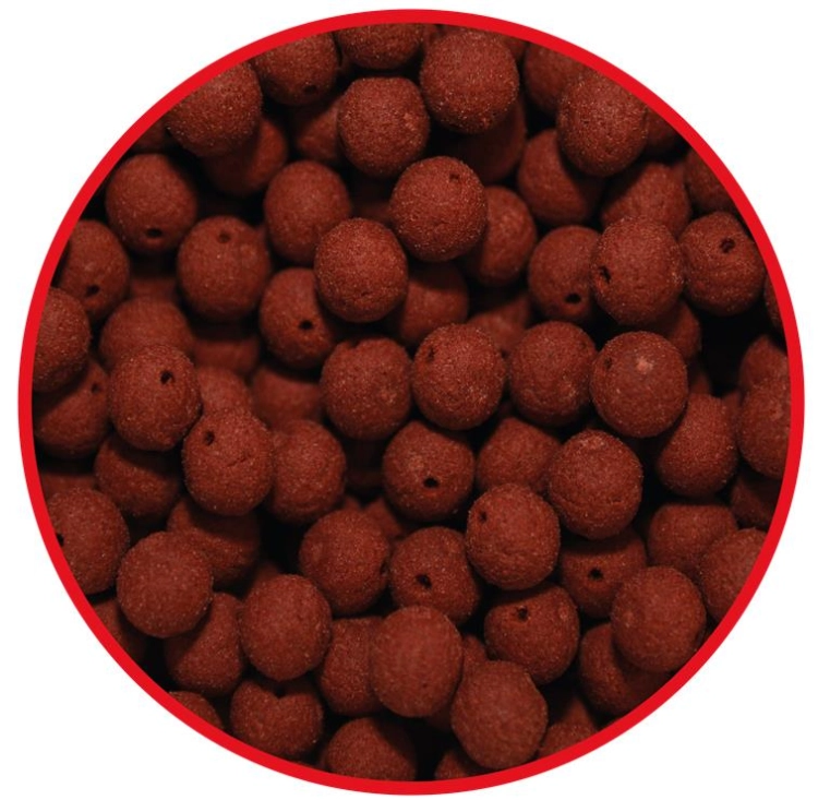 OKIENKO KULKI SAUSSAGE POPUP.jpg