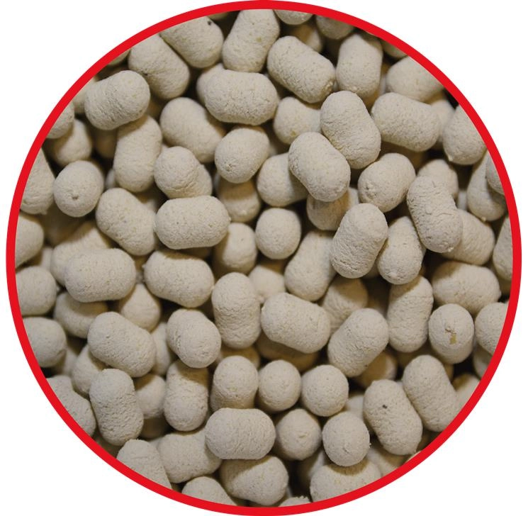 OKIENKO DUMBELLS GARLIC.jpg