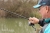 ACOLYTE PLUS 13ft / 3,90m Wędka Drennan Kod: RMACPL0130