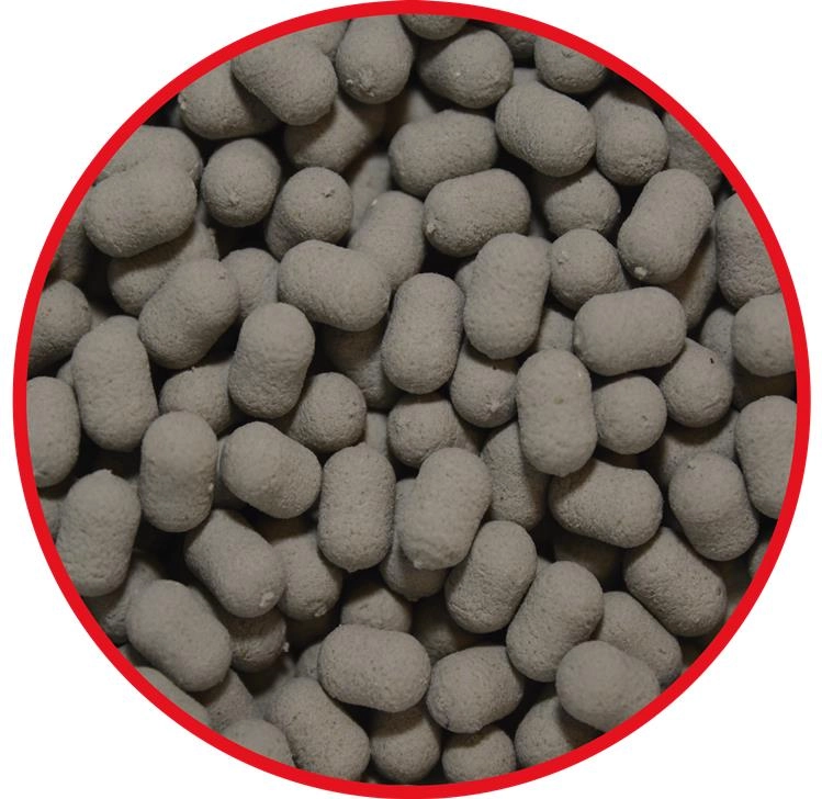 OKIENKO DUMBELLS FISH.jpg