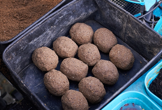 softfeed-outdoor-3.jpg