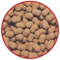 OKIENKO DUMBELLS ORZECH.JPG